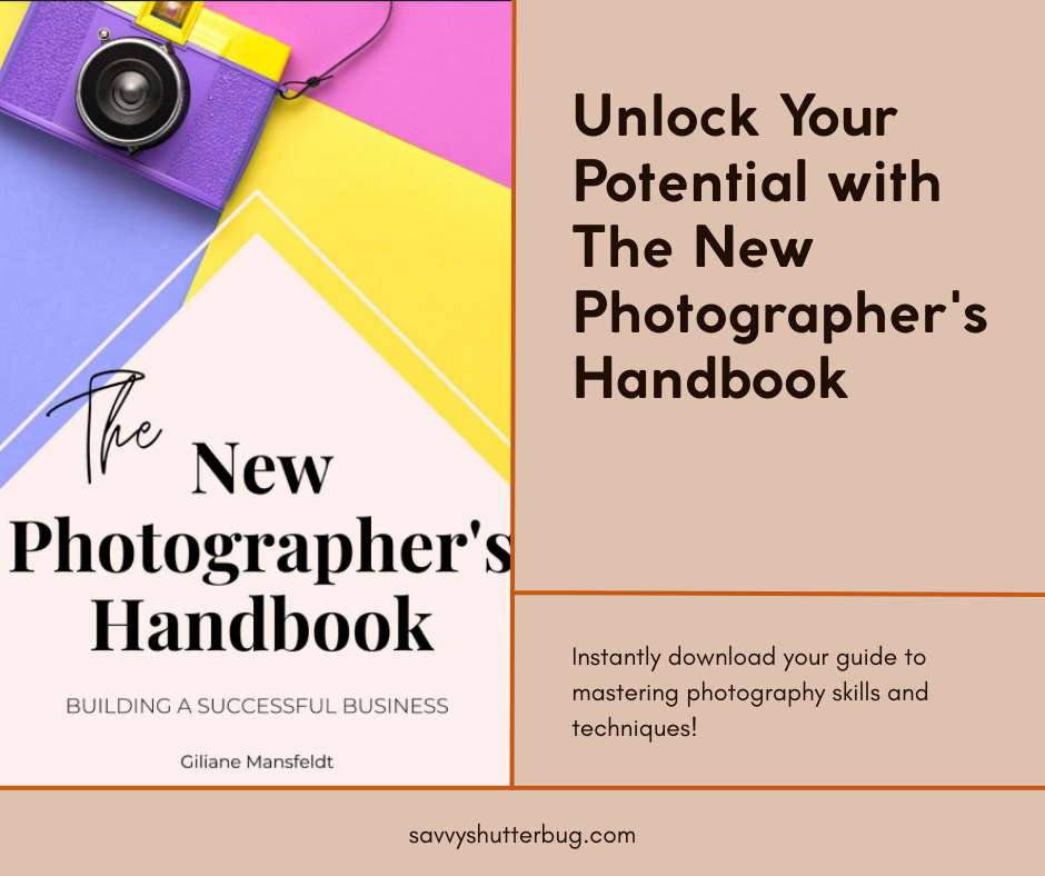 The New Photographer’s Handbook: Building a Successful Business
