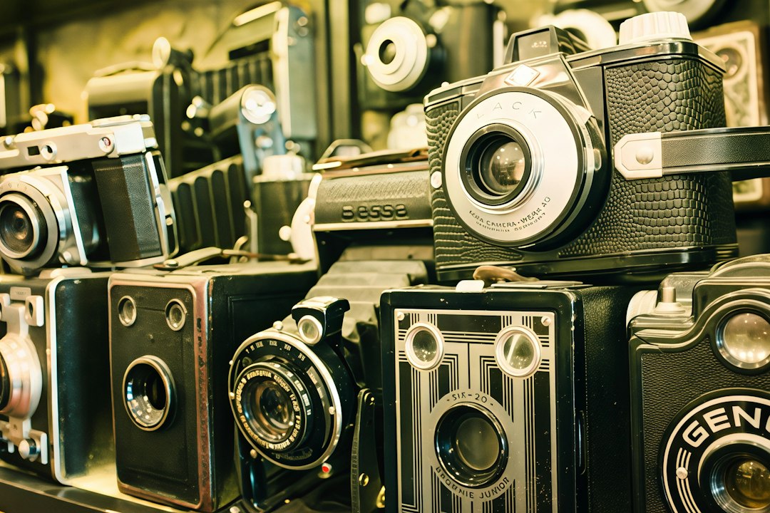 Collection of vintage film cameras on a shop shelf, symbolizing the revival of film photography
